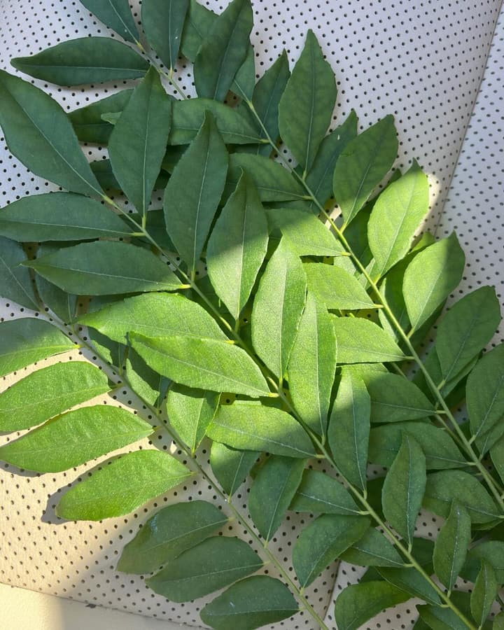 Curry leaves don’t reveal their fullest expression until they meet the heat. As they sizzle, they release oils, aroma, and flavor that were always there. Life doesn’t create who we are. It reveals us. #masalamandalaofficial #homesteadflorida #indianfoodtruck #freshfood #homemadeindianfood #homemadesamosas #floridacity